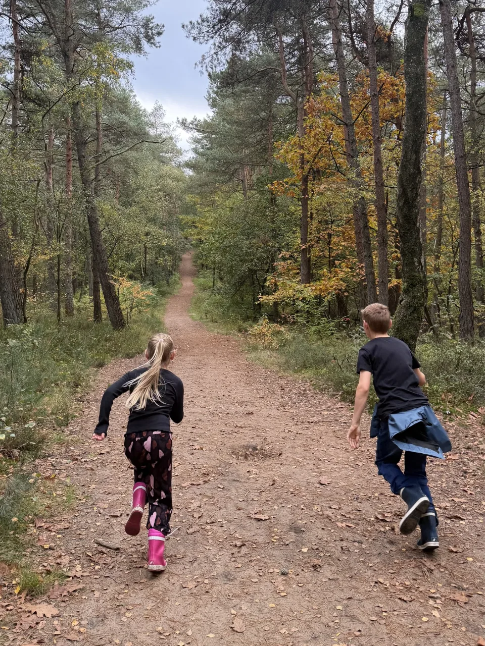 Twee kinderen in regenlaarzen rennen van achteren gezien over een bospad tussen dennen en herfstbomen