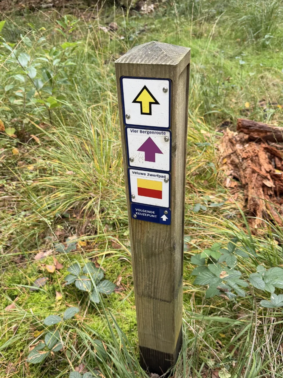 Houten routepaaltje in het gras met een gele pijl en bordjes van de Vier Bergenroute en het Veluwe Zwerfpad