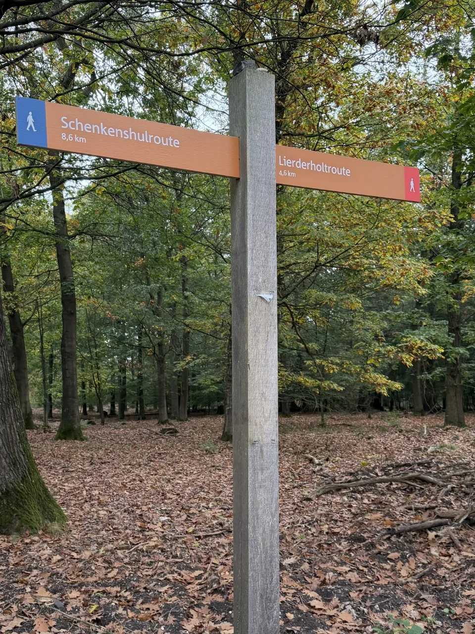 Houten wegwijzer in een herfstbos met bordjes naar de Schenkenshulroute en de Lierderholtroute, bladeren op de grond