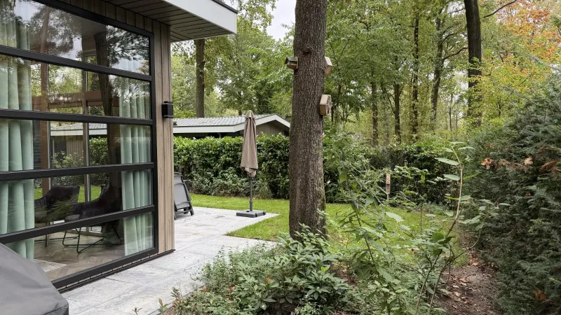 Het terras voor de glazen pui, met een parasol, het gazon en een hoge haag, tussen de bomen