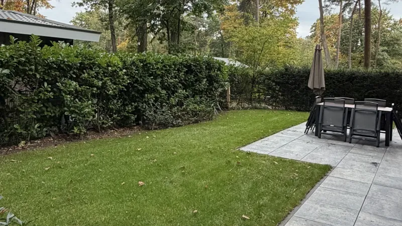 Het gazon met een hoge haag en het terras met de tuinset en parasol