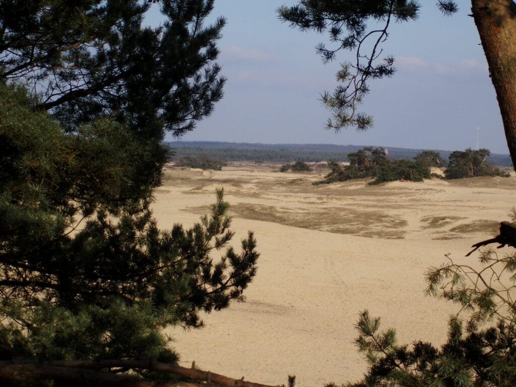 Het Kootwijkerzand op de Veluwe, een grote natuurlijke zandbak om in te spelen