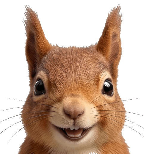 Woestie, de eekhoorn-mascotte van vakantiehuis Woeste Hoogte 15