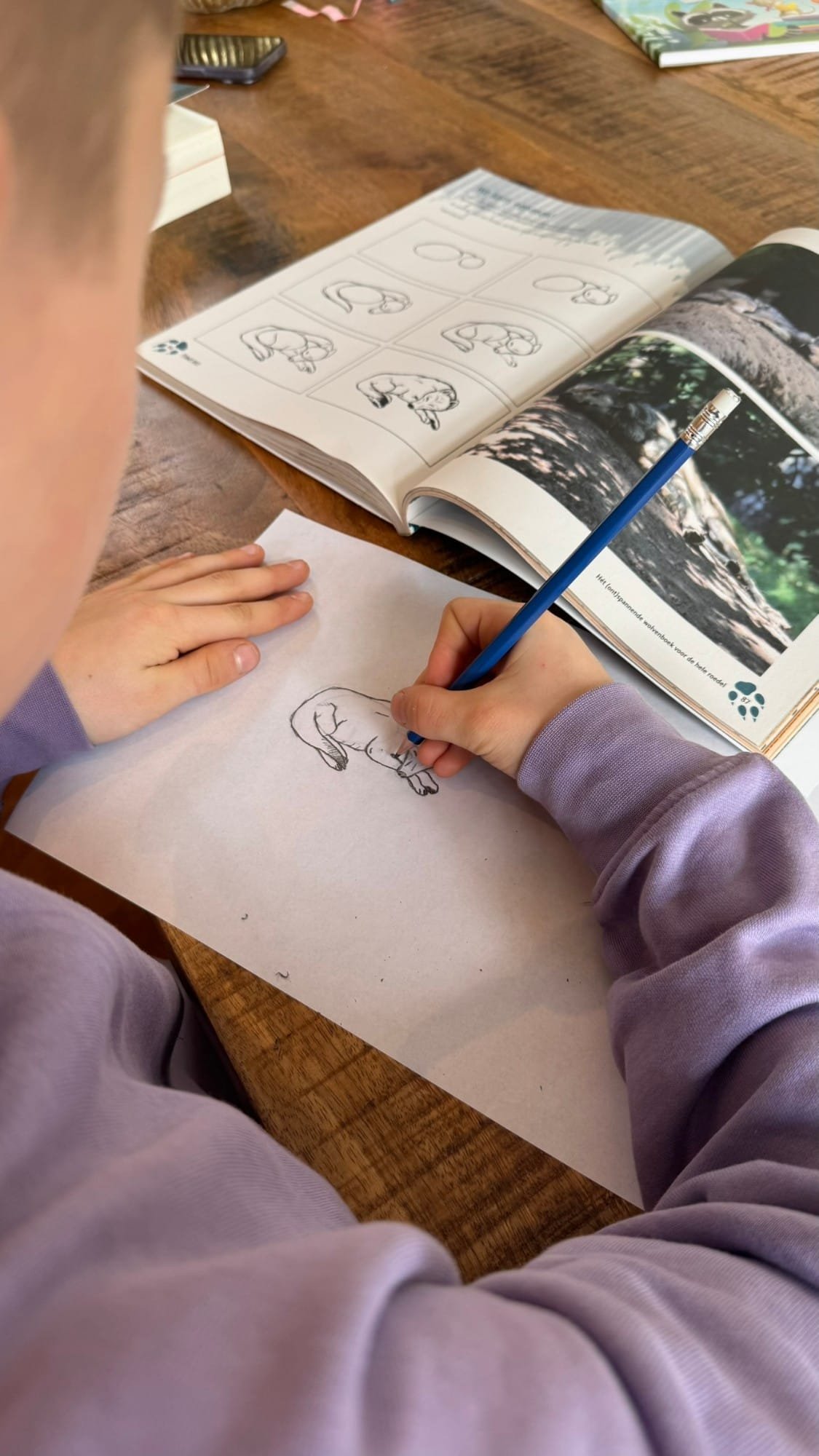 Kind tekent een wolf na uit een natuurwerkboek aan tafel in Woeste Hoogte 15
