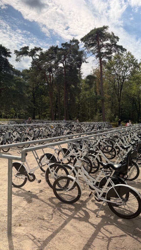 Rijen gratis witte fietsen bij de ingang van Nationaal Park De Hoge Veluwe